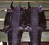 Выделанная шкура крокодила черного цвета